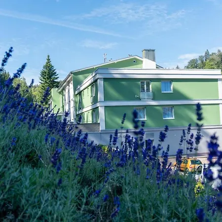 Wellness Paradise 4*