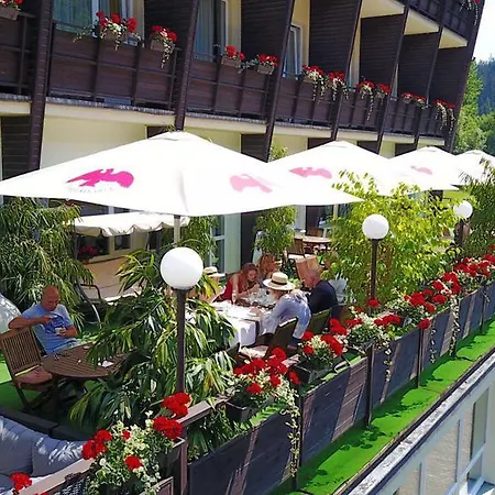 Wellness Paradise 4*