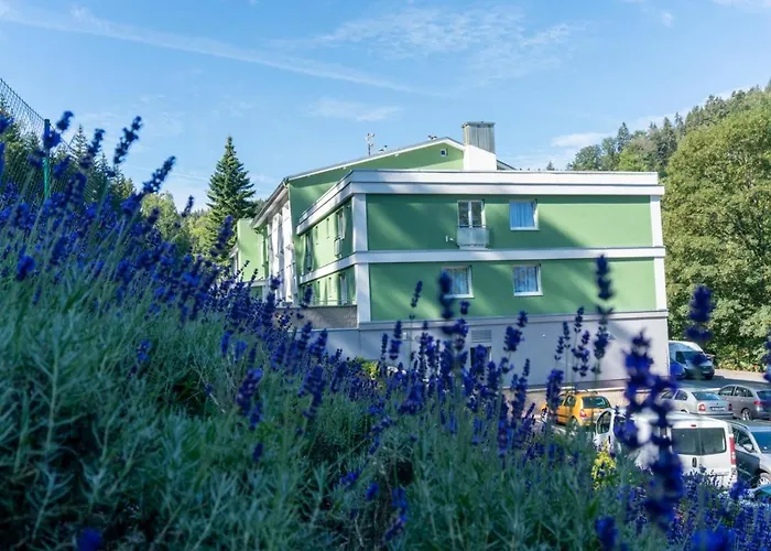 Wellness Paradise 4*